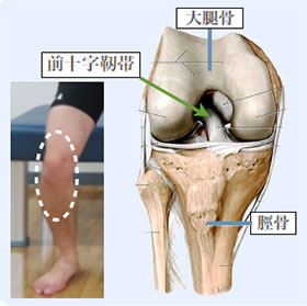前十字靭帯再建術 帯広協会病院 北海道社会事業協会帯広病院